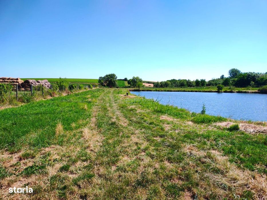Teren 18.247 mp cu balta de pescuit – Misca, Comuna Chislaz, Bihor