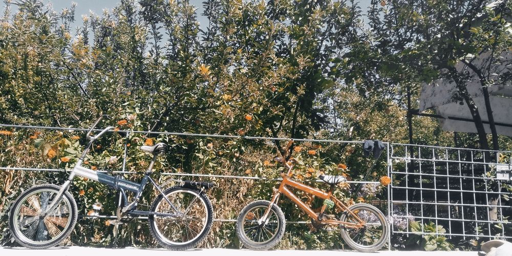 Гарантия жок бермеймин