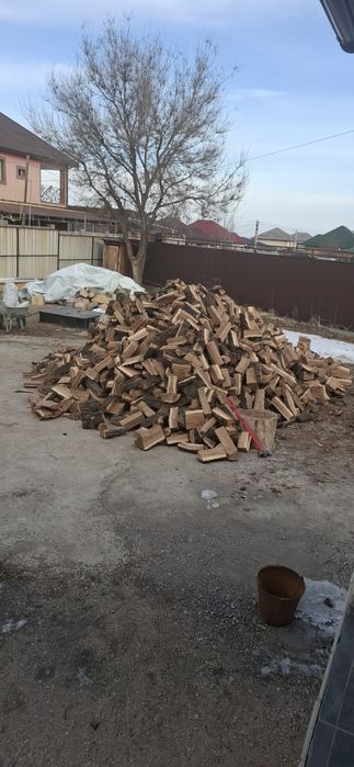 Дрова карагач тополь дуб