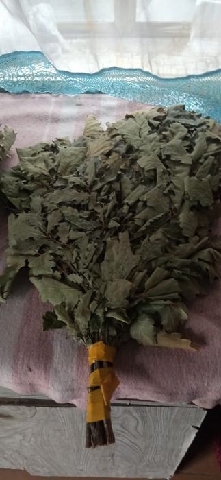 Веники банные берёзовые