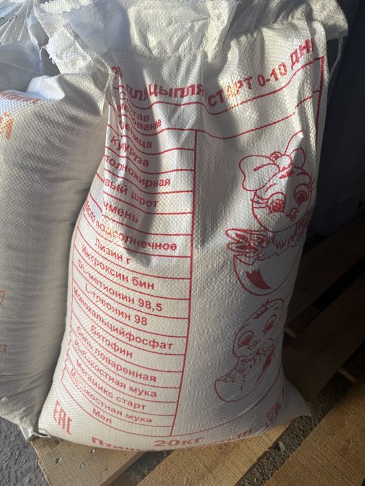 Старт для всех видов птиц