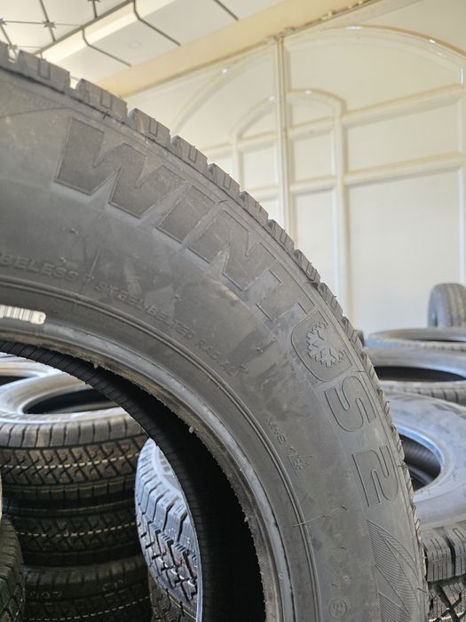 Ласса газель зимный