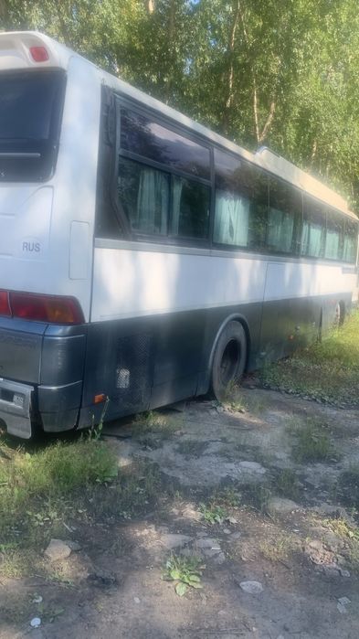 2 автобуса Hyndai