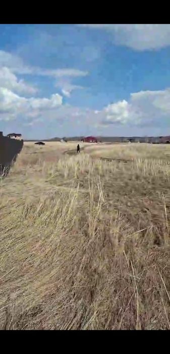 Участок 20 соток