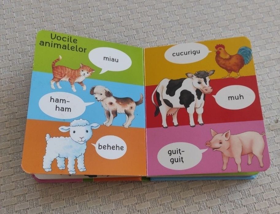 Carte ilustrata copii