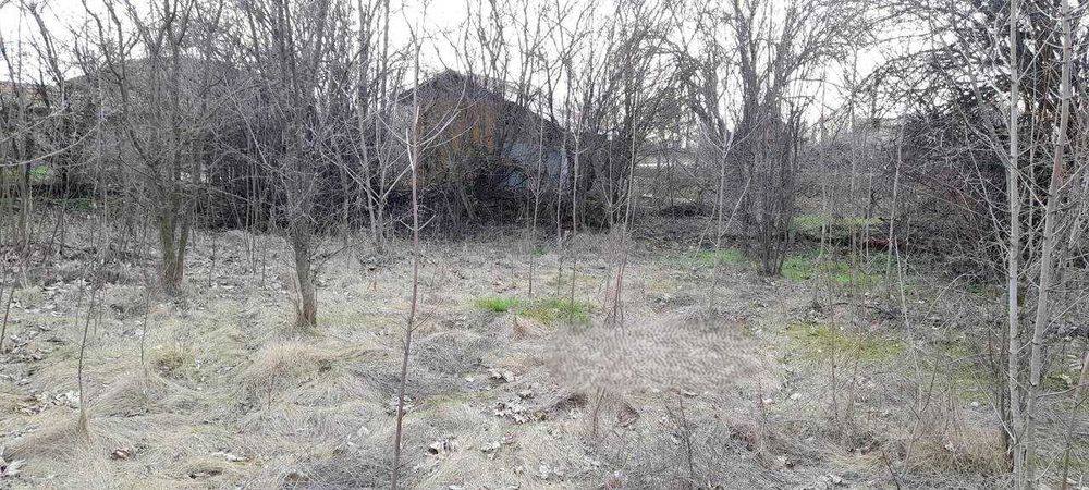 Продава се Парцел в с. Пчеларово, Област Добрич - 90 кв.м за 67 €/кв.м - Снимка #2