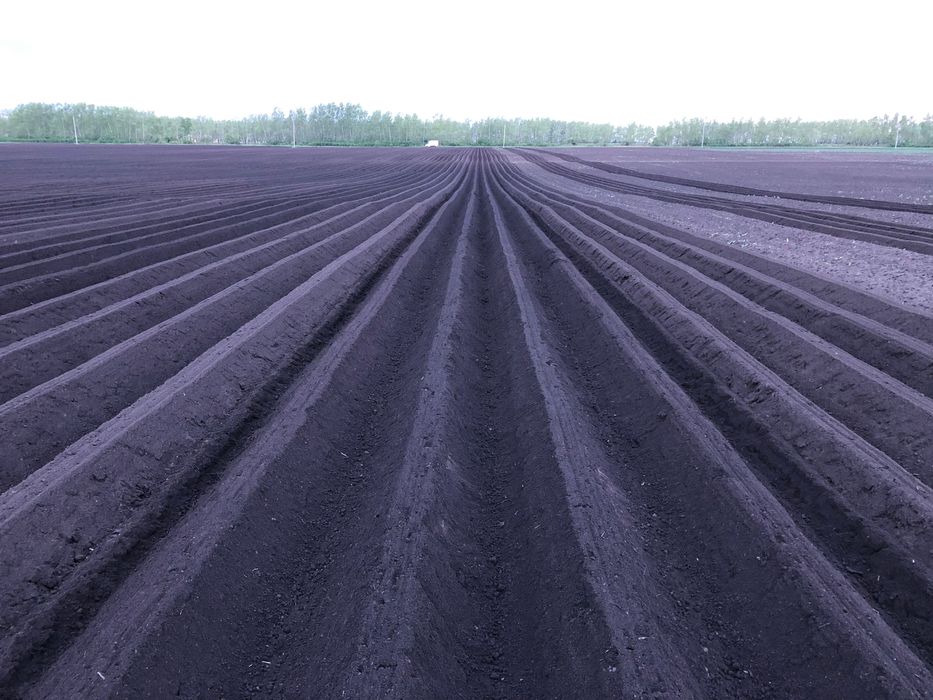 Гребнеобразователь под картофель