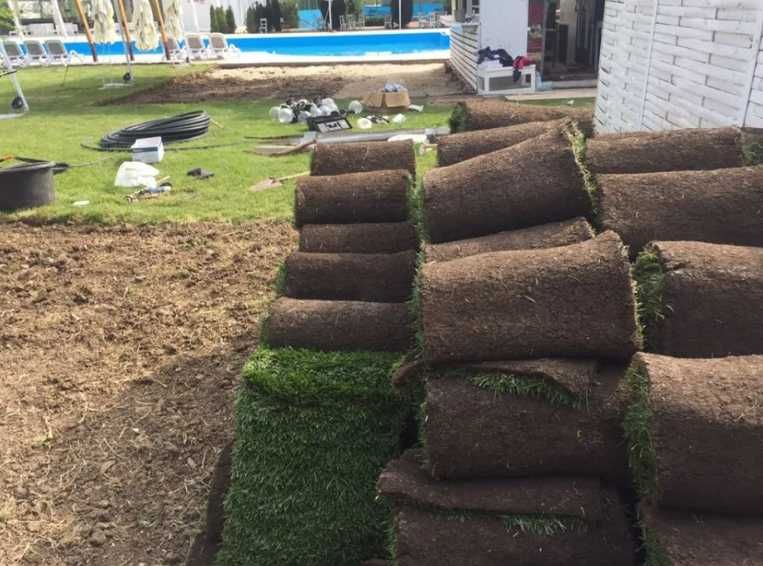 Transformă-ți Curtea Acum – Gazon Premium cu Montaj Inclus