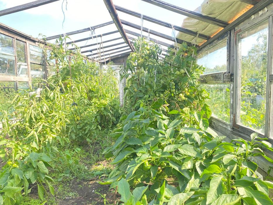 Дача на федоровке