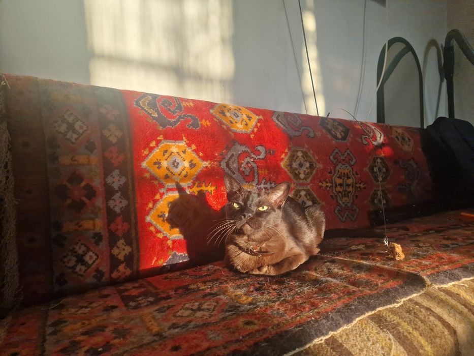 Диван старый с дырками
