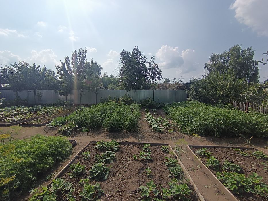 Продам Дачу в районе Солнечный.