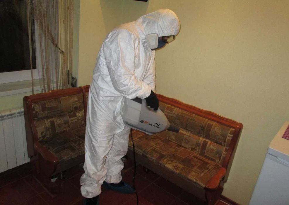 Дезинфекция Dezinfeksiya клоп клапа тараканы klop tarakan крысы мышь