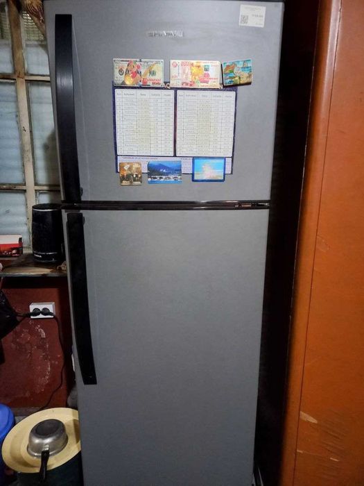 Televizor, Haladelnik, Tryumo sotiladi