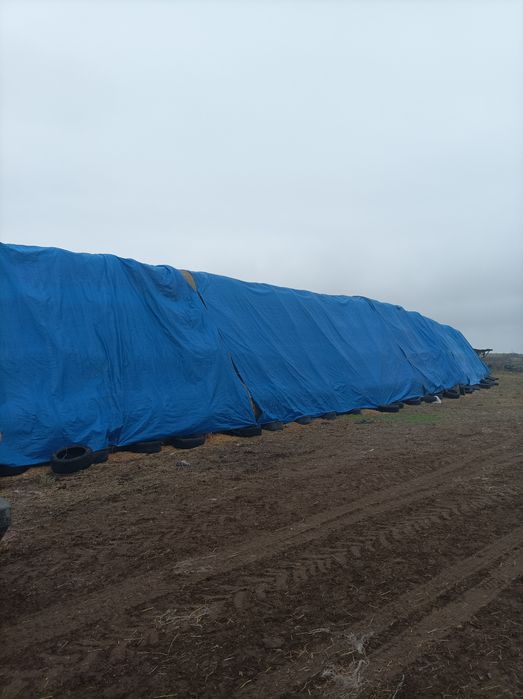 Продавам Ролонни бали ечимик,пшеница,сено и люцерна