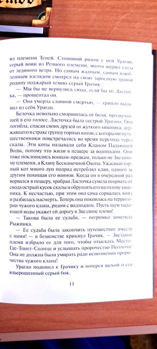 Коты воители. Рассвет