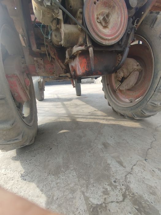 T16 pat pat sotiladi