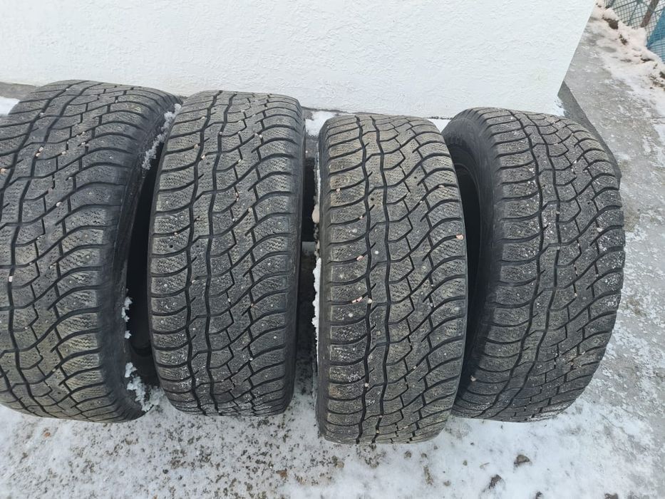 Автошина зимняя шиповоные