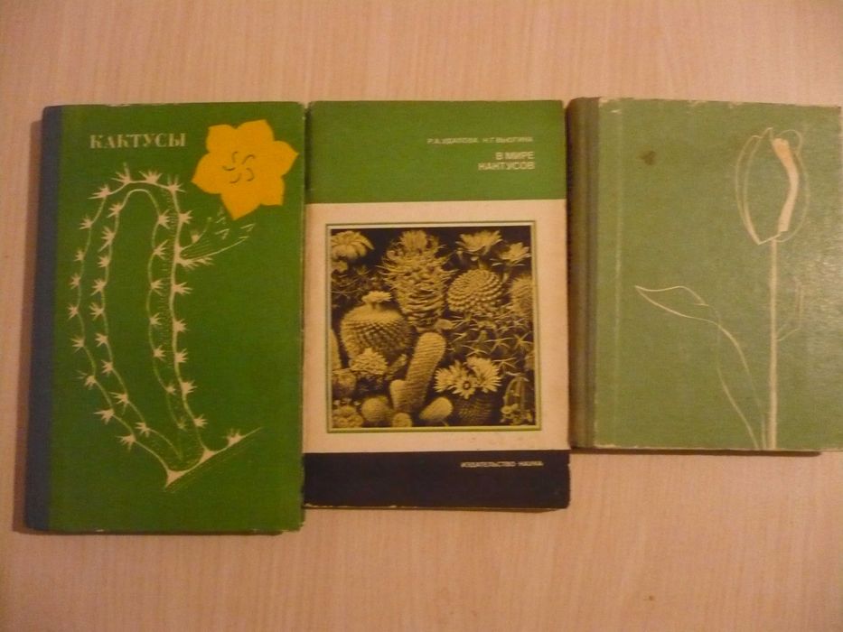 Комнатные цветы, домашнее цветоводство