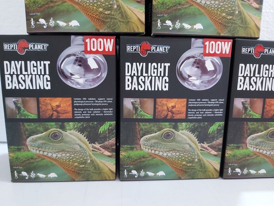 Крушка за терариум от 25 до 100W DAYLIGHT BASKING
