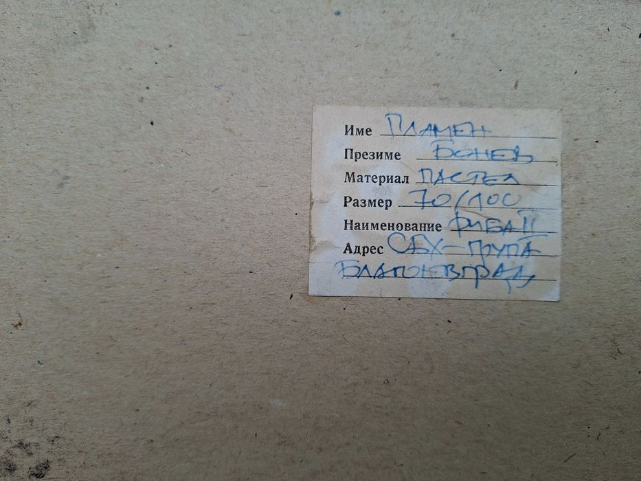 Картина Картини Пламен Бонев