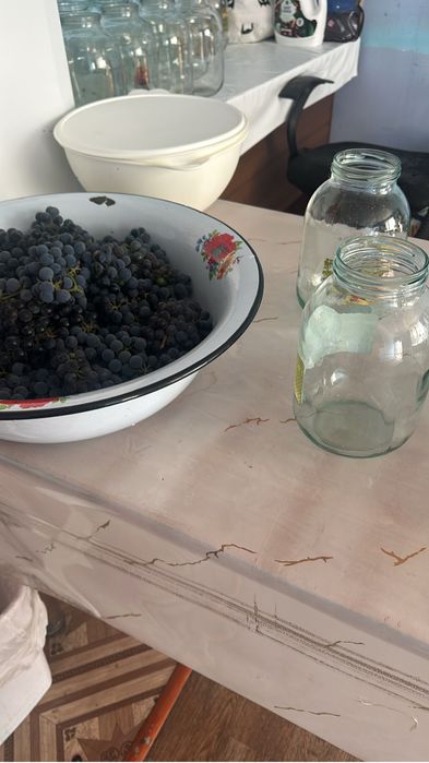 Продам виноград изобелла