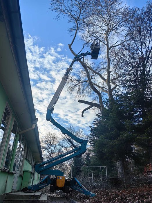 Рязане на опасни дървета Варна