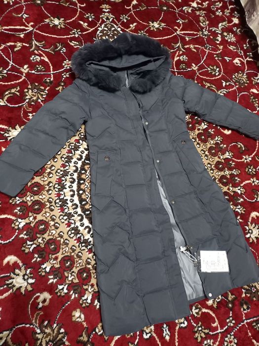 Ayollar kurtkasi baloniviy