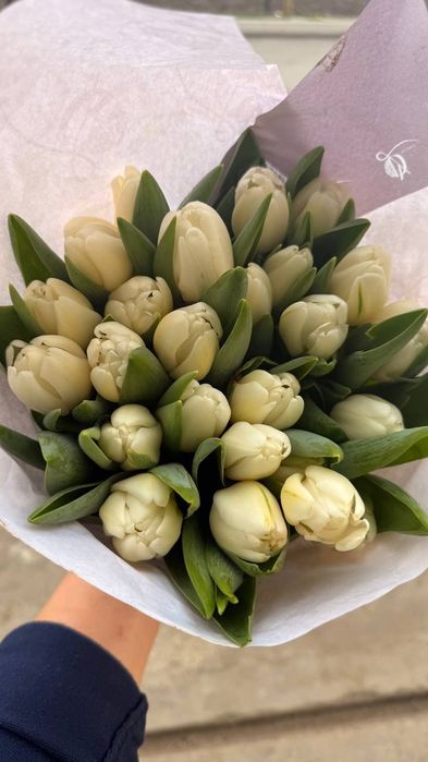 Тюльпаны (Голландская) на 8 марта оптом есть перечисленные