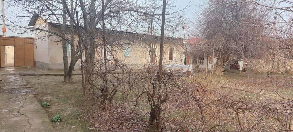 Лимонария Бунёдкор махалла, Турон кучаси 21 уй