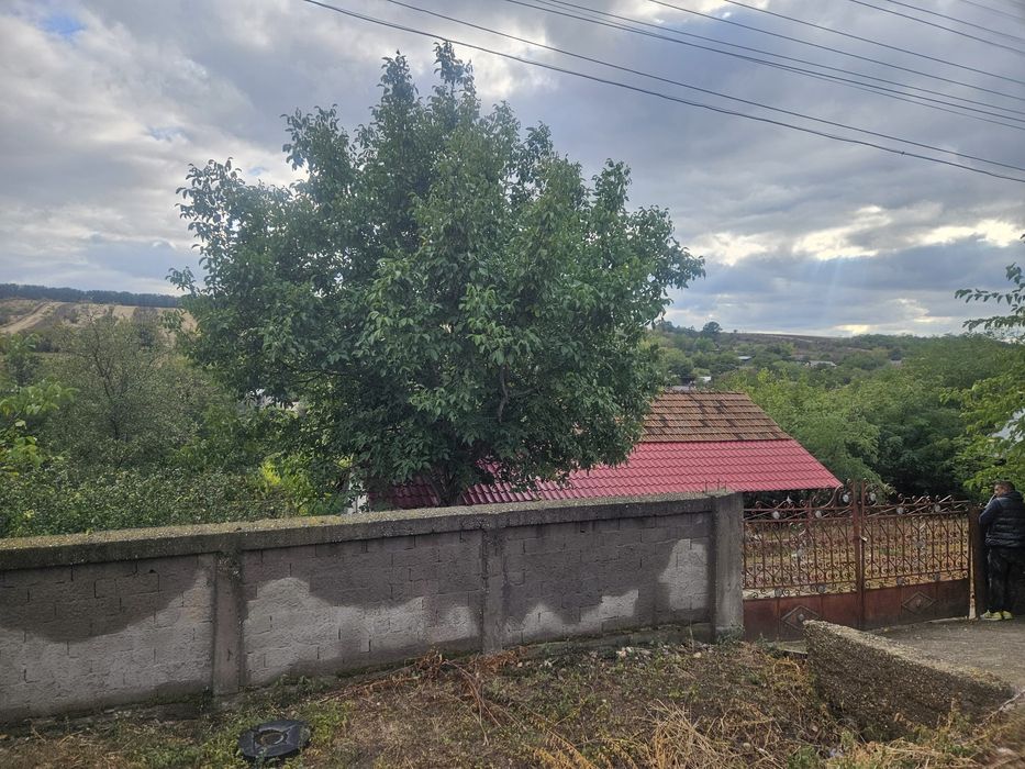 Vand casa Palilula, comuna Bucovat