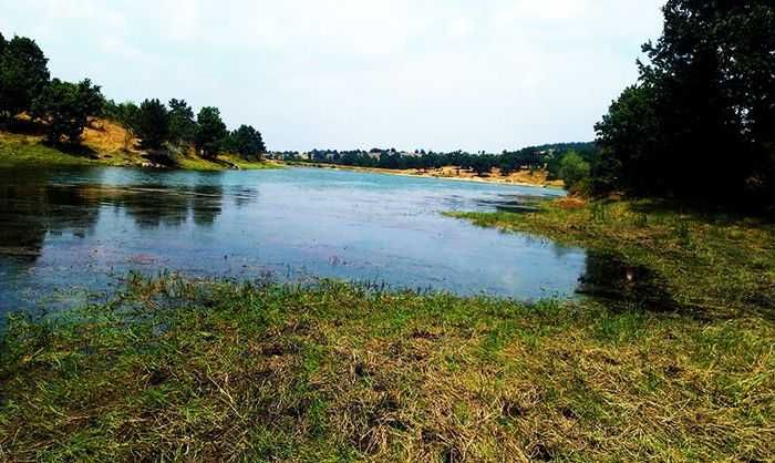 Продава се Земеделски имот в Тополовград -  кв.м за 744 €/дка - Снимка #1