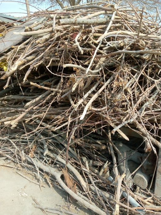 Oʼtin va kundalar sotiladi