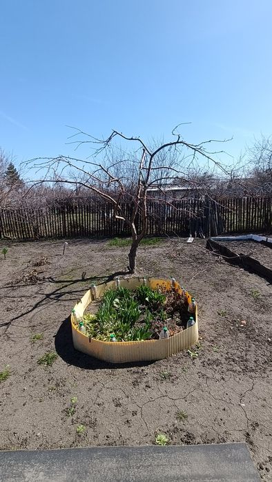 Дача в СО Чапаевское