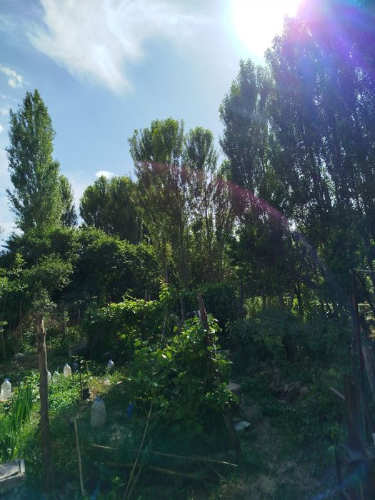 Продаётся Дом в Кибрайском районе