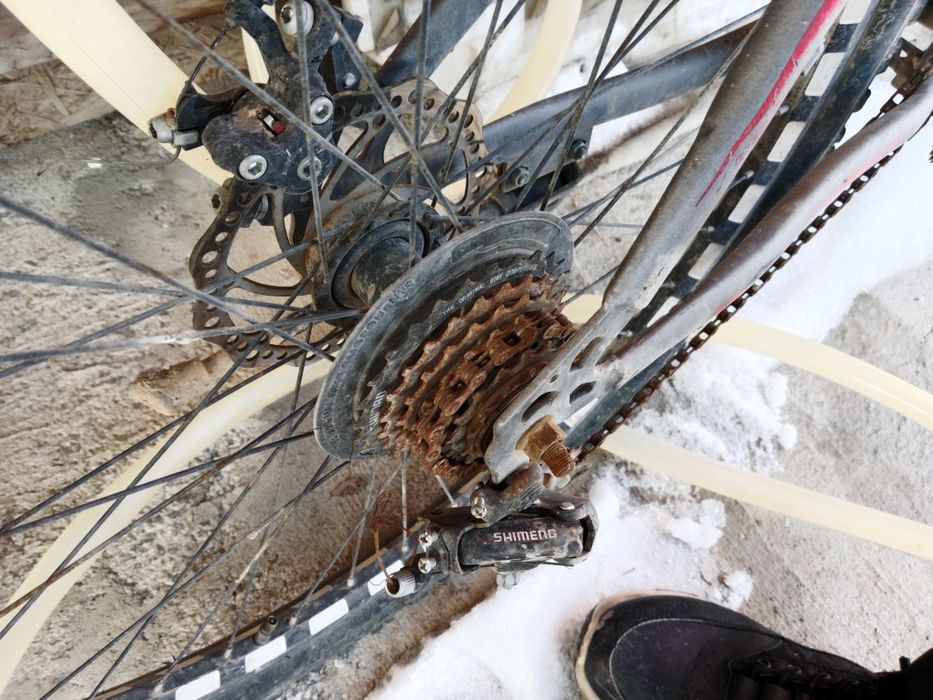 Продам велик фокус