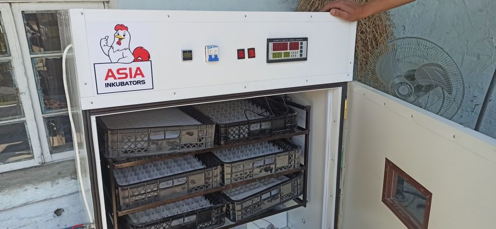 Инкубатор сотилади