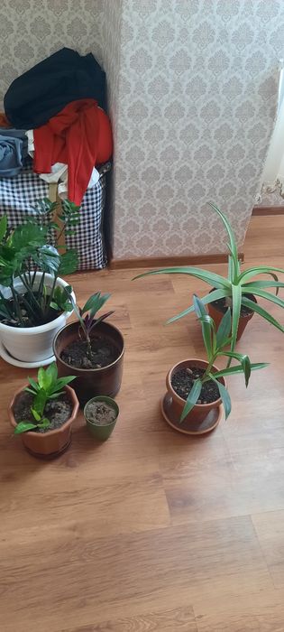 Продам компьютерный стол раковина цветы