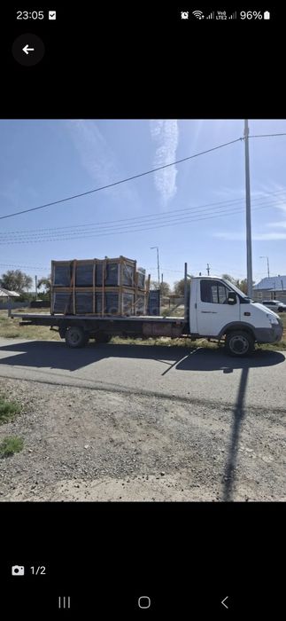 Газел                       .