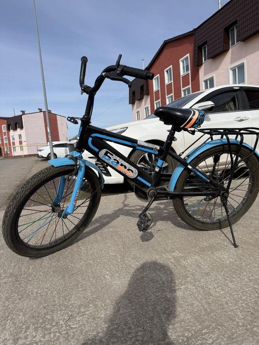 Велик «Барс» прадается