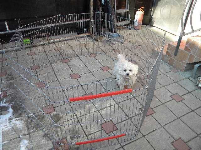 Tarc metalic pentru animale 8 panouri