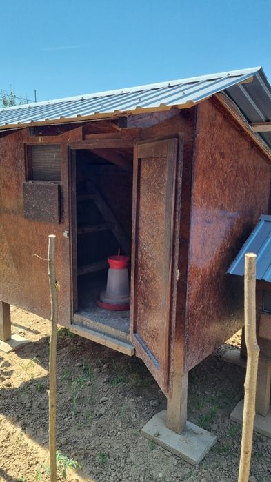 Coteț pentru găini