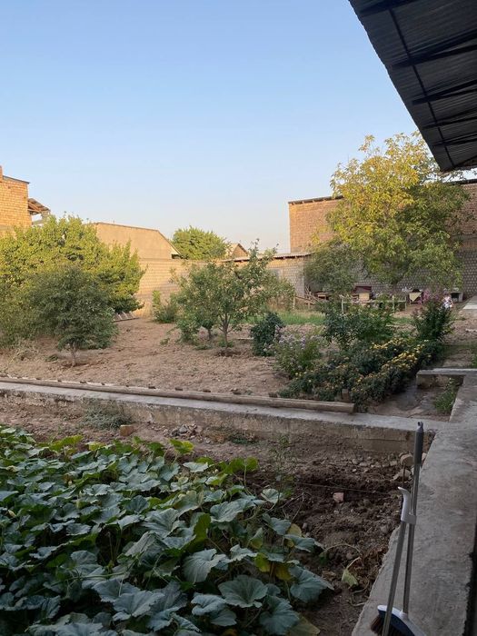 Аренда земли/Arendaga yer