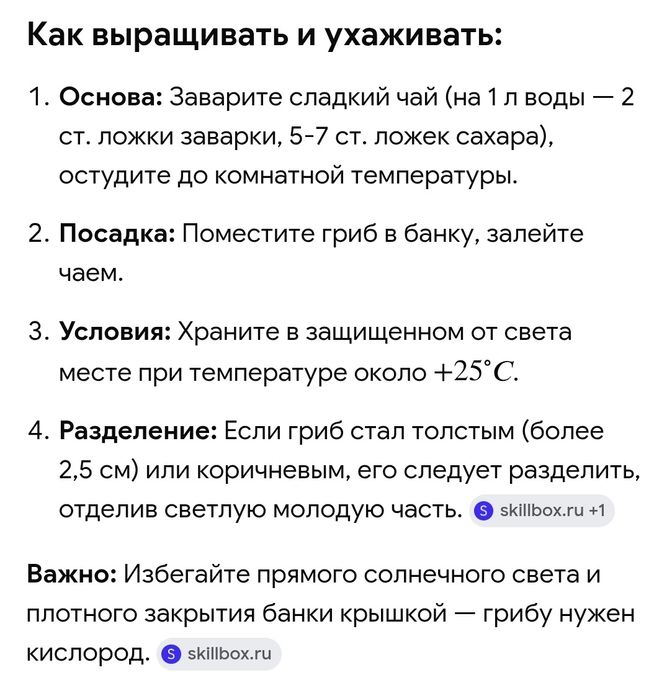 Чайный гриб ( комбуча)