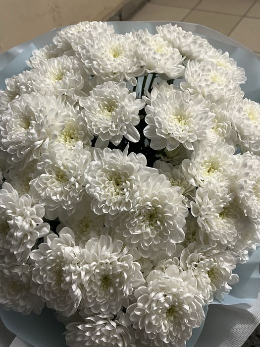 Ақ хризантема букеті | Әдемі гүл | Сыйлыққа