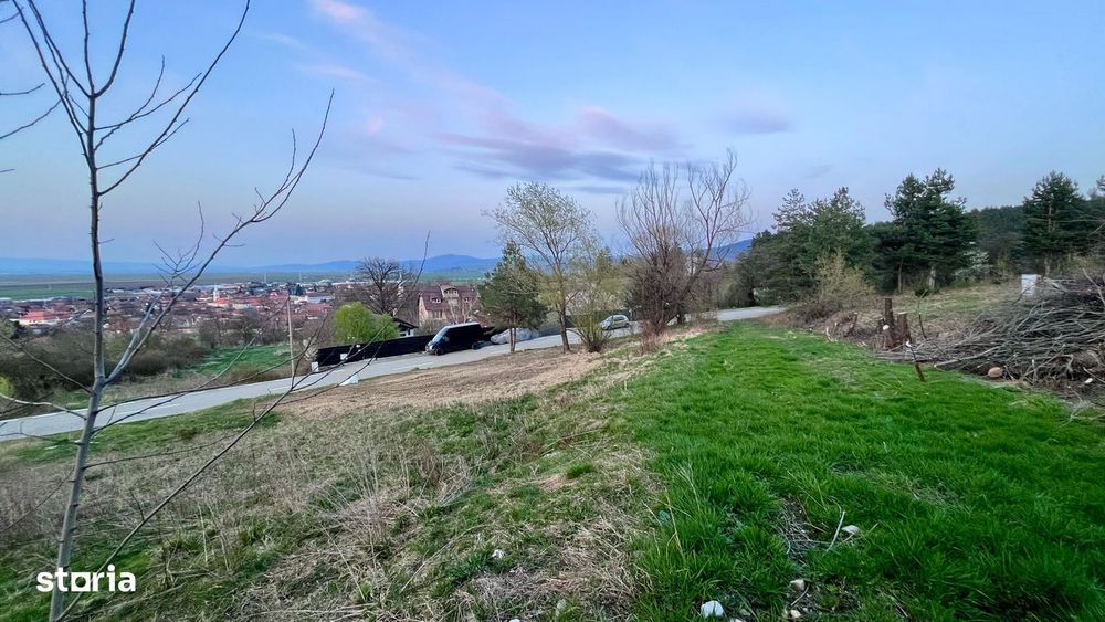 Teren Intravilan 495 mp – Zonă Liniștită - Strada Livezii