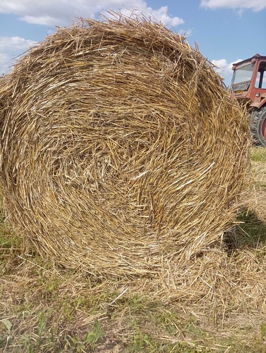 Vând baloți de paie