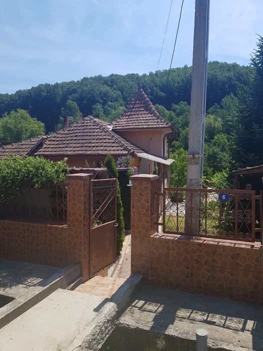 Casa la 20km de Severin