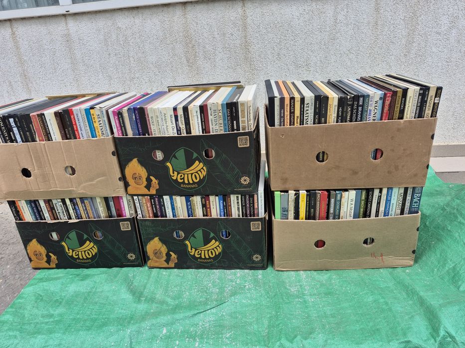 Vând lot 500Lp muzică clasică colectie mixta 3 lei un disc vinil