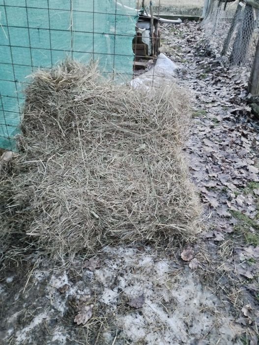 Baloți de paie de grau și fin