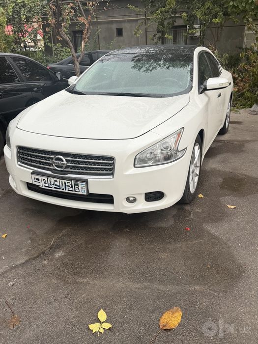 Nissan  Altima в  хорошем  состоянии  год 2009